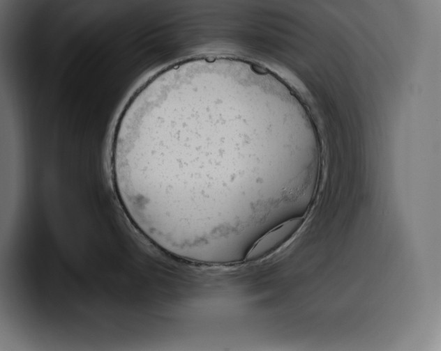 X0000099981248200806131353