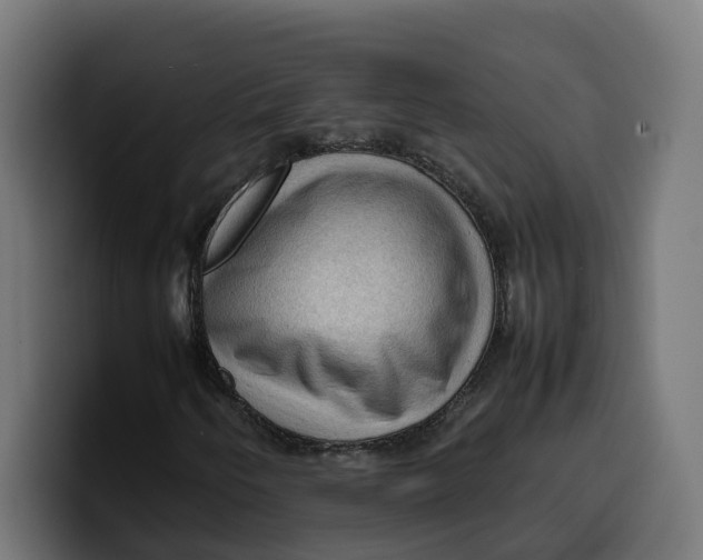 X0000099981250200806131352