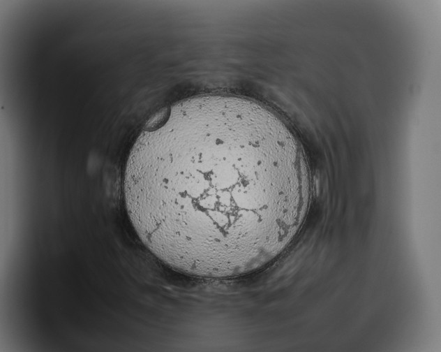 X0000099981251200806131352