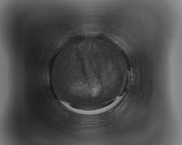 X0000099981252200806131352