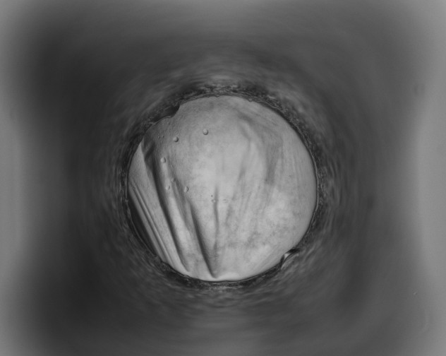 X0000099981253200806131352