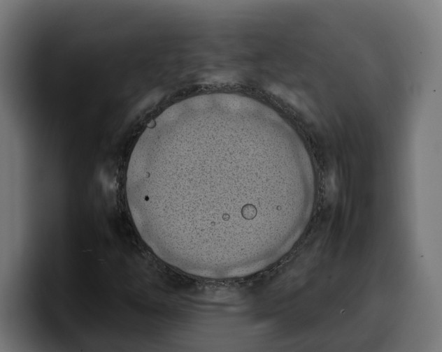 X0000099981254200806131352