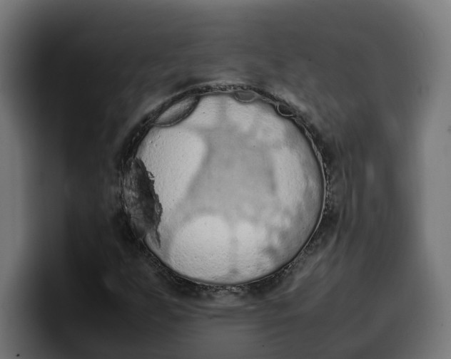 X0000099981255200806131352