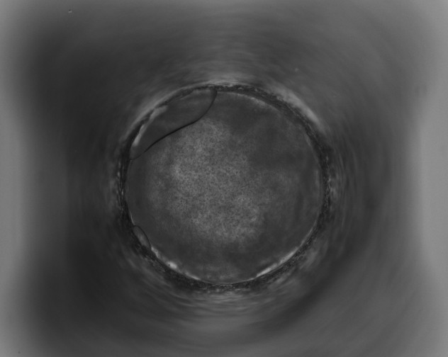 X0000099981256200806131352