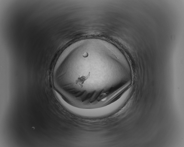 X0000099981257200806131352