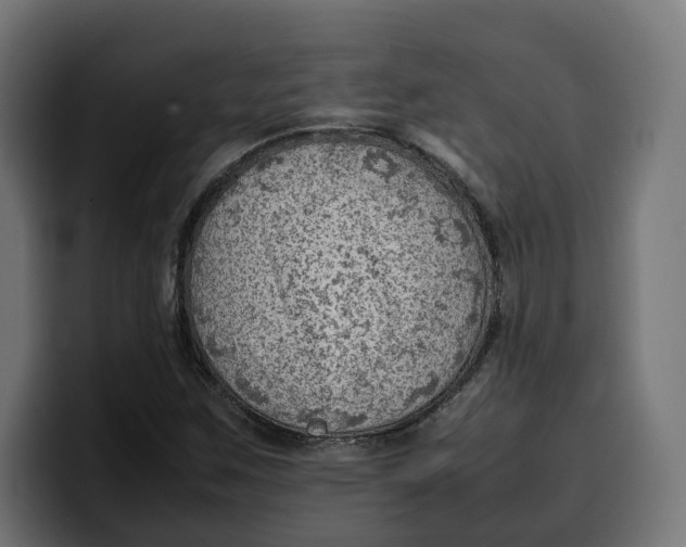 X0000099981259200806131352