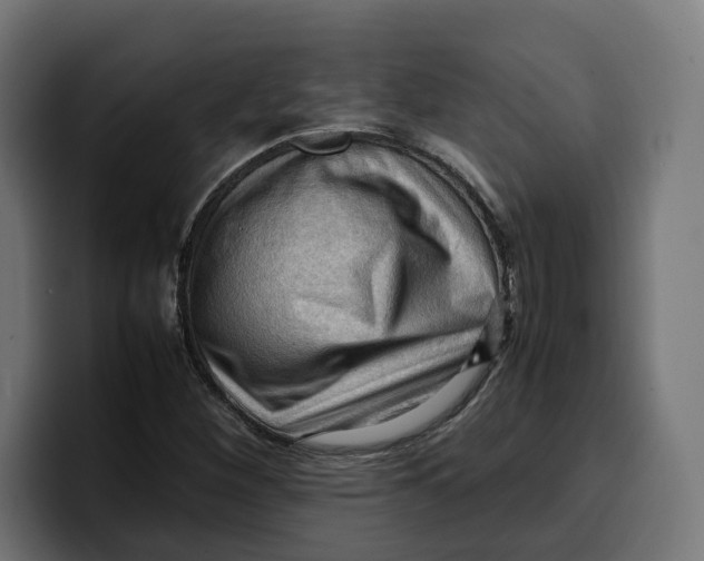 X0000099981260200806131352