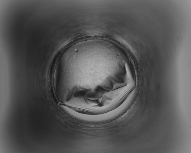 X0000099981261200806131352