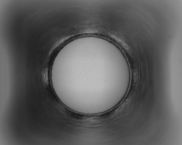 X0000099981262200806131352