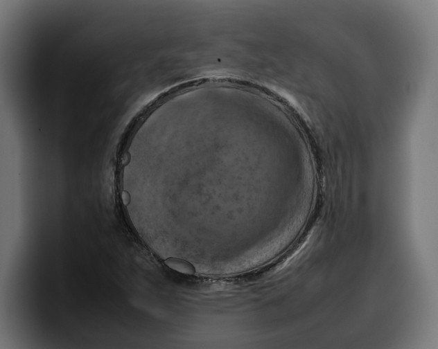 X0000099981263200806131352