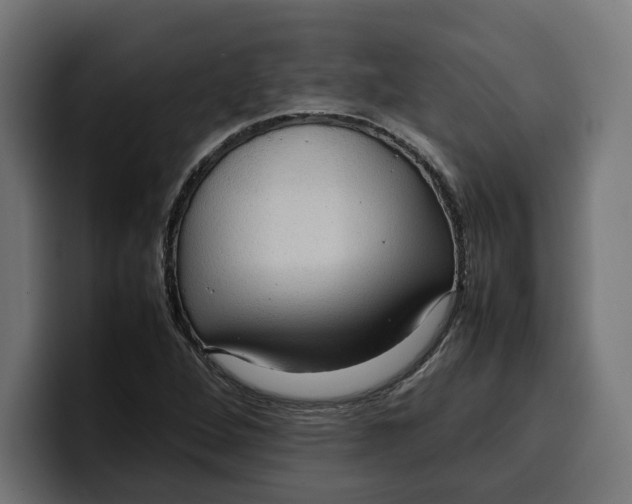 X0000099981264200806131352