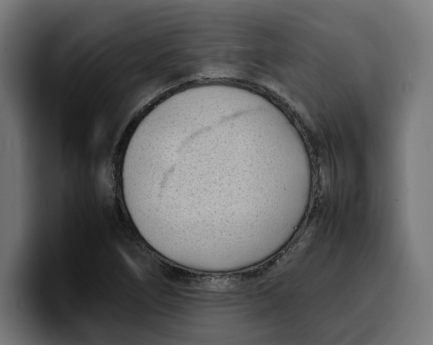 X0000099981266200806131352