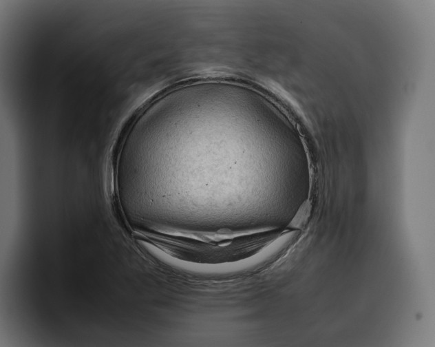 X0000099981269200806131352