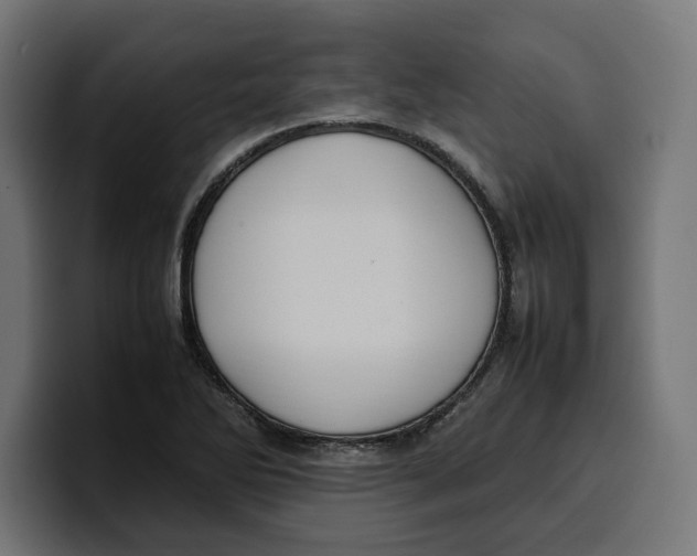 X0000099981270200806131352