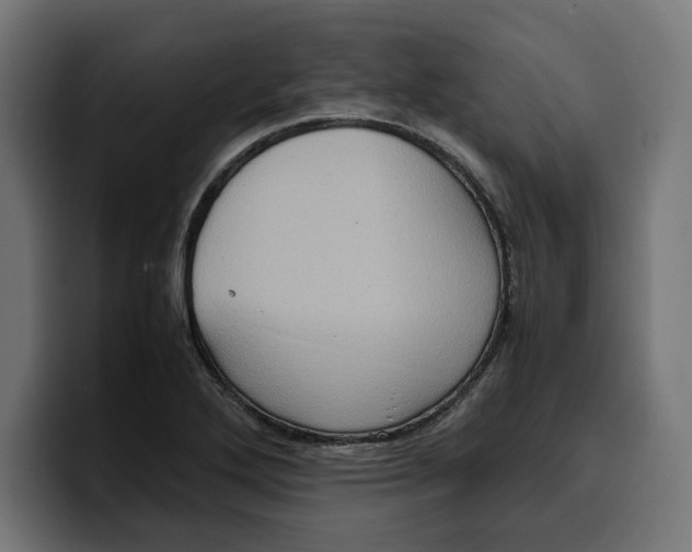 X0000099981272200806131352