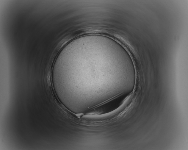 X0000099981273200806131352