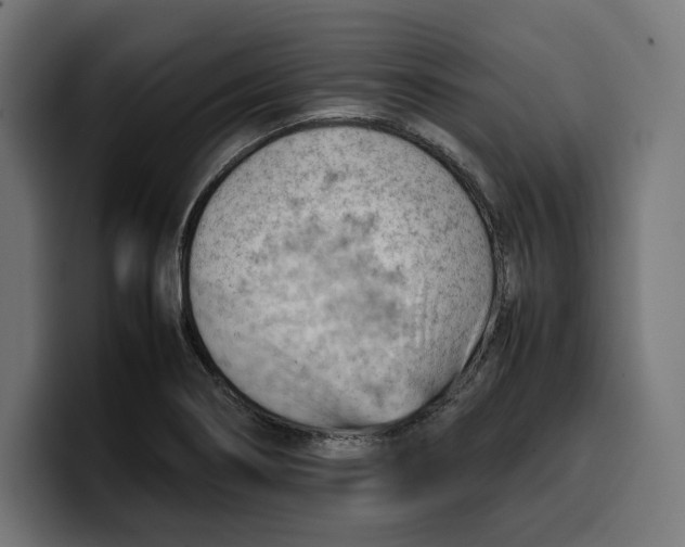 X0000099981274200806131352