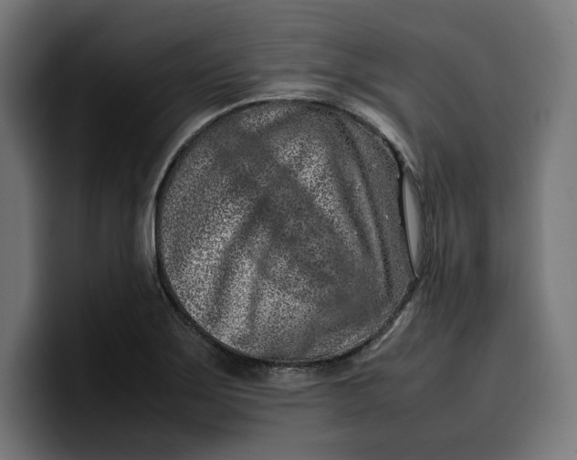 X0000099981275200806131352