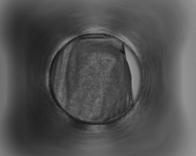 X0000099981277200806131352