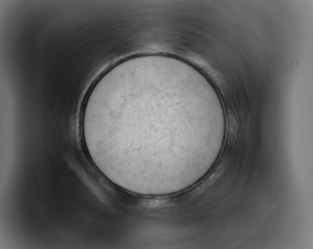 X0000099981278200806131352