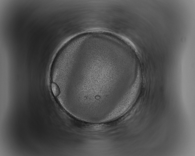 X0000099981279200806131352