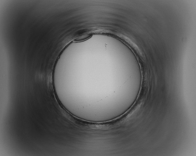 X0000099981281200806131352