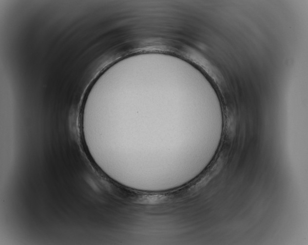 X0000099981282200806131352