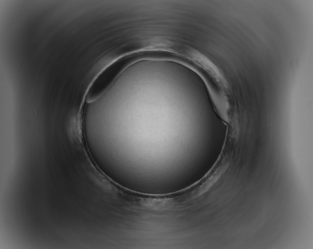 X0000099981284200806131352