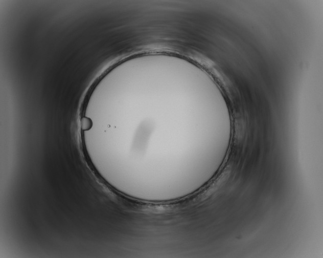 X0000099981286200806131352