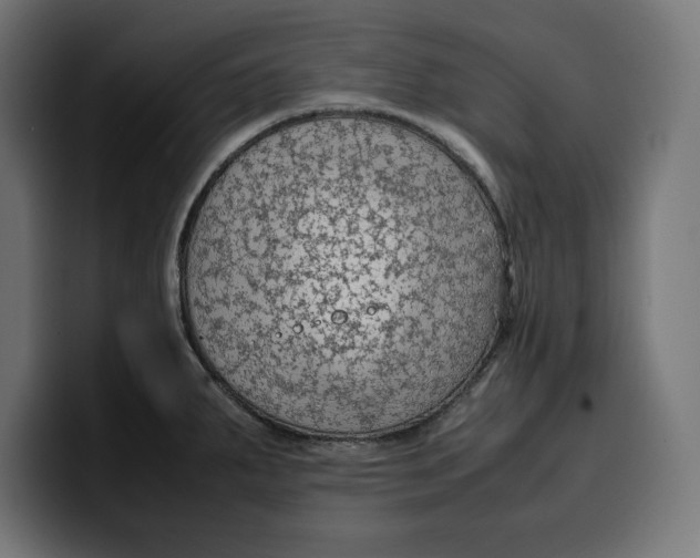 X0000099981287200806131352