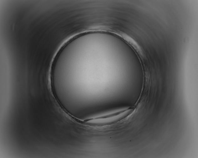 X0000099981288200806131351