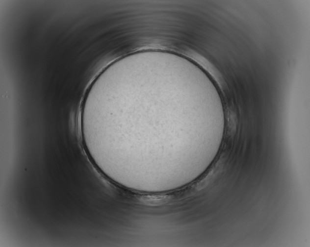 X0000099981290200806131351