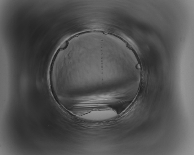 X0000099981291200806131351