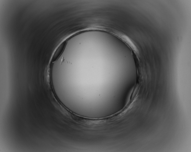 X0000099981292200806131351