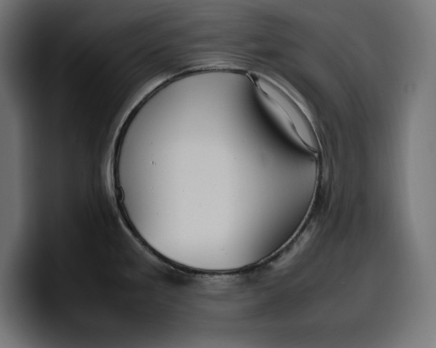 X0000099981293200806131351