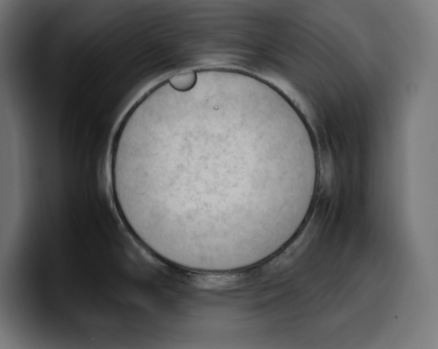 X0000099981294200806131351