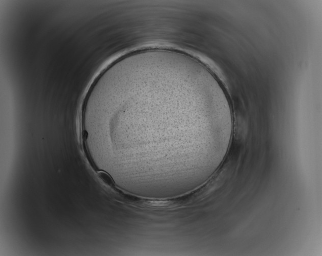 X0000099981295200806131351