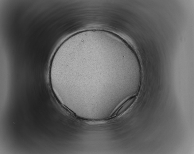 X0000099981296200806131351