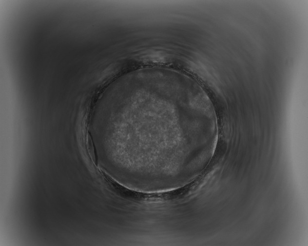 X0000099981297200806131351