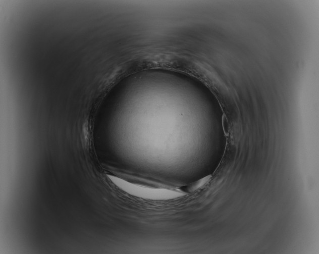 X0000099981298200806131351