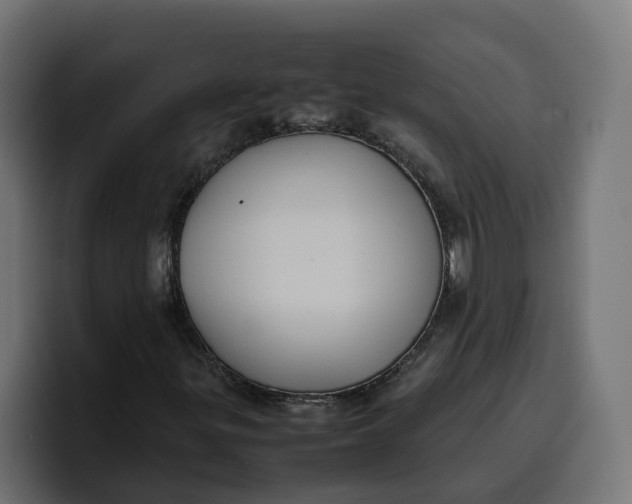 X0000099981299200806131351