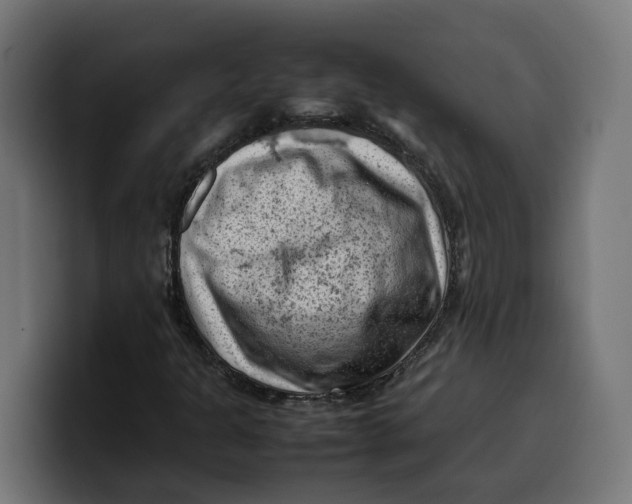 X0000099981301200806131351