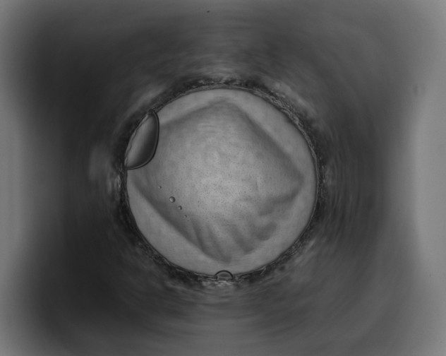 X0000099981302200806131351