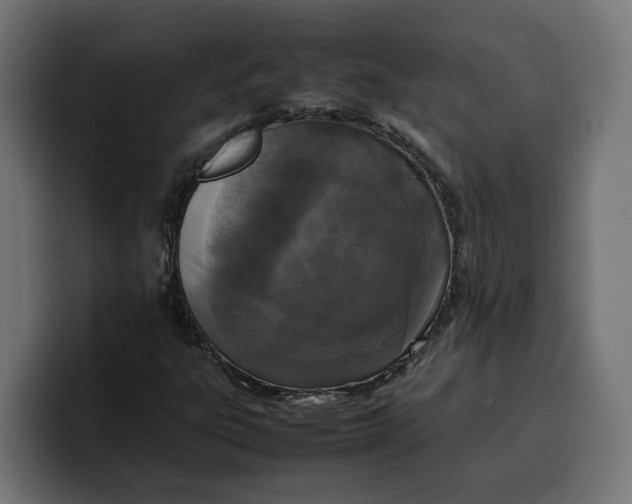 X0000099981303200806131351