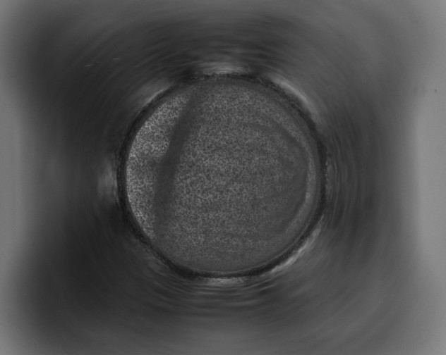 X0000099981305200806131351