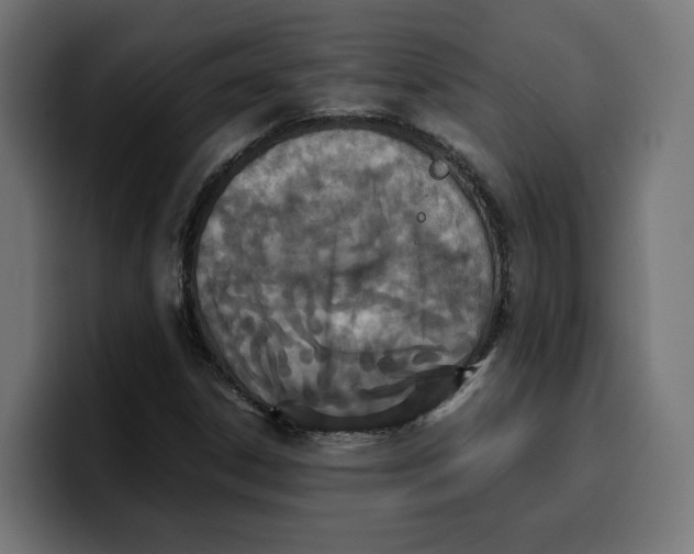 X0000099981306200806131351