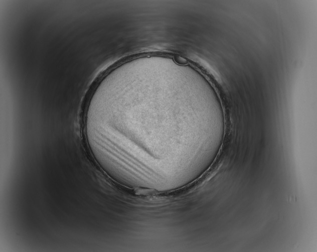 X0000099981308200806131351