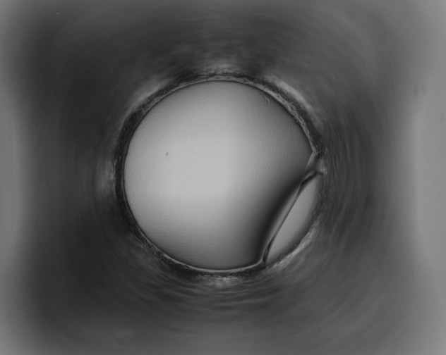 X0000099981309200806131351