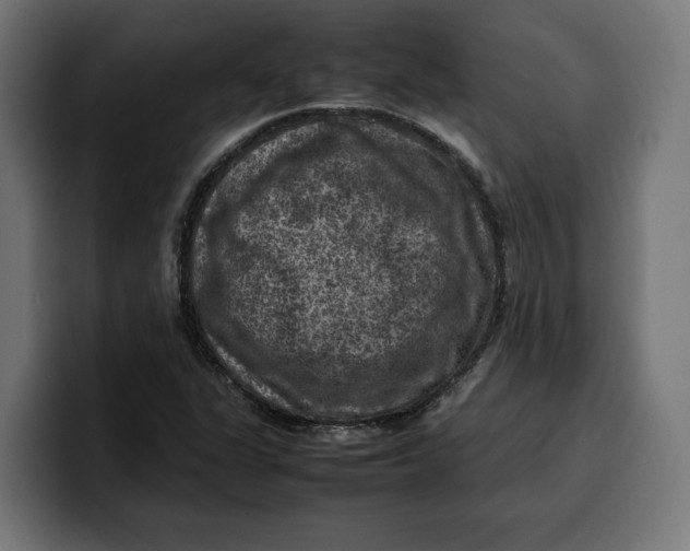 X0000099981311200806131351