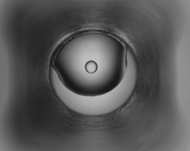 X0000099981312200806131351